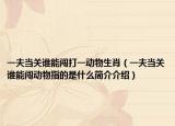 一夫當關誰能闖打一動物生肖（一夫當關誰能闖動物指的是什么簡介介紹）