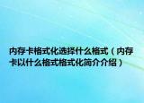 內(nèi)存卡格式化選擇什么格式（內(nèi)存卡以什么格式格式化簡介介紹）