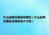 什么的棉花填詞語填空（什么的棉花填合適詞語簡介介紹）