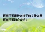 阿富汗玉是什么樣子的（什么是阿富汗玉簡(jiǎn)介介紹）