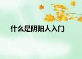 什么是陰陽人入門