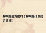 聊唄是官方的嗎（聊唄是什么簡(jiǎn)介介紹）