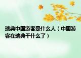 瑞典中國游客是什么人（中國游客在瑞典干什么了）
