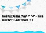 融通新藍(lán)籌基金凈值161605（融通新藍(lán)籌今日基金凈值多少）