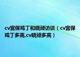 cv宮保雞丁和曉頑訪談（cv宮保雞丁多高,cv曉頑多高）