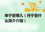 單寧是哪兒（丹寧是什么簡(jiǎn)介介紹）