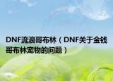 DNF流浪哥布林（DNF關(guān)于金錢哥布林寵物的問(wèn)題）