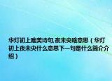 華燈初上唯美詩句,夜未央啥意思（華燈初上夜未央什么意思下一句是什么簡(jiǎn)介介紹）