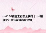 dnf100鎮(zhèn)魂之石怎么獲得（dnf鎮(zhèn)魂之石怎么獲得簡(jiǎn)介介紹）