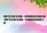 用驢充當(dāng)斑馬河南一動(dòng)物園回應(yīng)詳細(xì)內(nèi)容 用驢充當(dāng)斑馬河南一動(dòng)物園回應(yīng)具體介紹