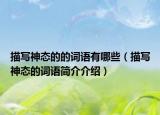 描寫神態(tài)的的詞語有哪些（描寫神態(tài)的詞語簡介介紹）