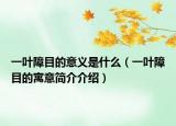 一葉障目的意義是什么（一葉障目的寓意簡(jiǎn)介介紹）