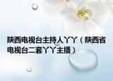 陜西電視臺(tái)主持人丫丫（陜西省電視臺(tái)二套丫丫主播）