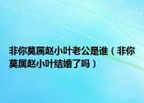 非你莫屬趙小葉老公是誰（非你莫屬趙小葉結(jié)婚了嗎）