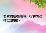 怎么才能買到狗糧（QQ農(nóng)場(chǎng)怎樣買到狗糧）