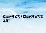致遠(yuǎn)軟件公司（致遠(yuǎn)軟件公司怎么樣）