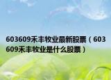 603609禾豐牧業(yè)最新股票（603609禾豐牧業(yè)是什么股票）