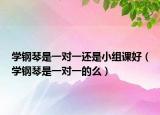 學(xué)鋼琴是一對(duì)一還是小組課好（學(xué)鋼琴是一對(duì)一的么）