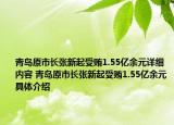青島原市長張新起受賄1.55億余元詳細內容 青島原市長張新起受賄1.55億余元具體介紹