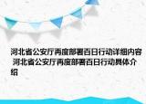 河北省公安廳再度部署百日行動詳細內容 河北省公安廳再度部署百日行動具體介紹
