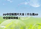 pp中空板圖片大全（什么是pp中空建筑模板）