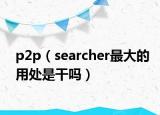 p2p（searcher最大的用處是干嗎）
