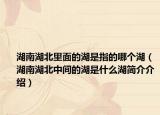 湖南湖北里面的湖是指的哪個(gè)湖（湖南湖北中間的湖是什么湖簡介介紹）
