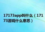 17173app叫什么（17173游戲什么意思）