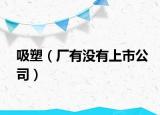 吸塑（廠有沒有上市公司）