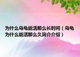 為什么烏龜能活那么長時(shí)間（烏龜為什么能活那么久簡(jiǎn)介介紹）