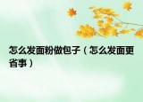 怎么發(fā)面粉做包子（怎么發(fā)面更省事）