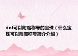 dnf可以附魔稱號的寶珠（什么寶珠可以附魔稱號簡介介紹）