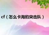cf（怎么卡海豹突擊隊(duì)）