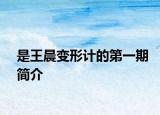 是王晨變形計的第一期簡介