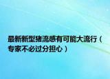 最新新型豬流感有可能大流行（專家不必過分擔(dān)心）