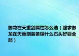 御龍在天重劍屬性怎么選（跪求御龍在天重劍裝備鑲什么石頭好要全部）