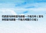 巴西亞馬孫和亞馬遜是一個(gè)地方嗎（亞馬孫和亞馬遜是一個(gè)地方嗎簡(jiǎn)介介紹）