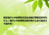 題目抽打心中的櫻桃花簡(jiǎn)化成抽打櫻桃花好嗎為什么（抽打心中的櫻桃花題目有什么含義是含義不是作用）
