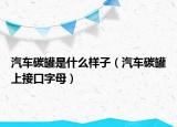 汽車碳罐是什么樣子（汽車碳罐上接口字母）