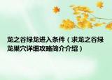 龍之谷綠龍進(jìn)入條件（求龍之谷綠龍巢穴詳細(xì)攻略簡(jiǎn)介介紹）