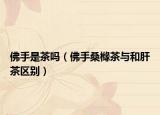 佛手是茶嗎（佛手桑櫞茶與和肝茶區(qū)別）