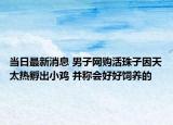 當(dāng)日最新消息 男子網(wǎng)購活珠子因天太熱孵出小雞 并稱會好好飼養(yǎng)的