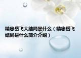 精忠岳飛大結(jié)局是什么（精忠岳飛結(jié)局是什么簡(jiǎn)介介紹）