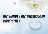 楊廣的死因（楊廣到底是怎么死的簡(jiǎn)介介紹）