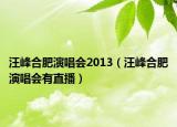 汪峰合肥演唱會2013（汪峰合肥演唱會有直播）