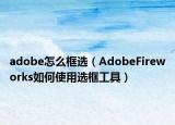 adobe怎么框選（AdobeFireworks如何使用選框工具）