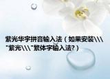 紫光華宇拼音輸入法（如果安裝\