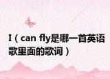 I（can fly是哪一首英語(yǔ)歌里面的歌詞）
