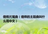 信蜂片尾曲（信蜂的主題曲叫什么用中文）