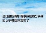 當日最新消息 胡歌薛佳凝分手原因 分開原因太現(xiàn)實了